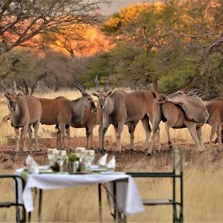 Ohange Namibia Lodge Otavi Exterior foto