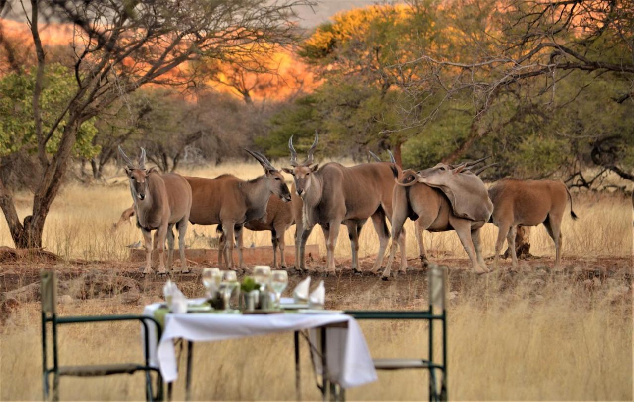 Ohange Namibia Lodge Otavi Exterior foto